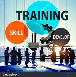 培训技能、开发能力与专业知识 技术咨询中的核心概念