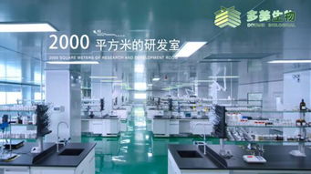 虹桥美博会上的网红产品定制中心代工厂 技术服务引领行业新潮流